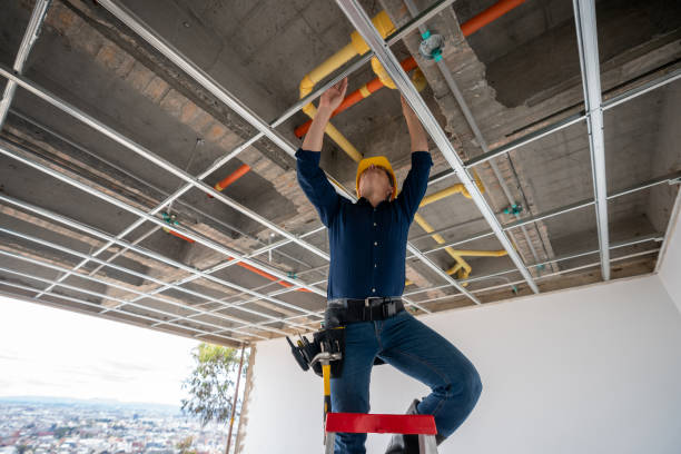 Best Residential Plumbing Services  in Cypress Lake, FL