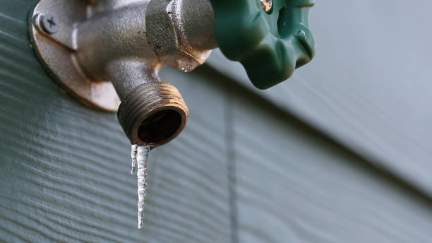 Best Faucet Repair  in Cypress Lake, FL