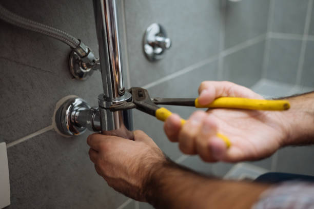 Best Local Plumber Services  in Cypress Lake, FL
